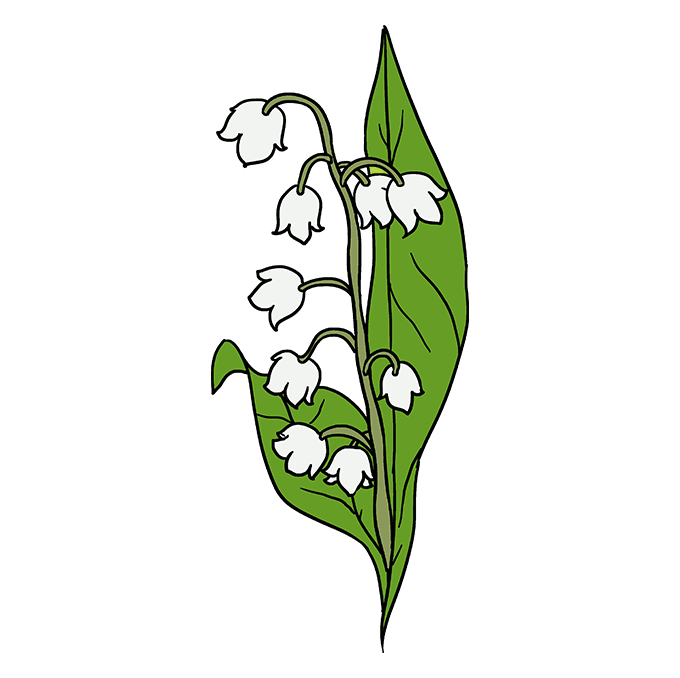 How to draw a lily of the valley