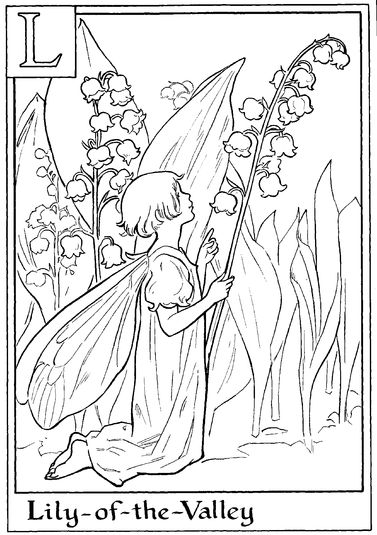 Flower fairies coloring pages fairy coloring book fairy coloring pages fairy coloring
