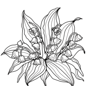 Lily of the valley coloring pages printable for free download