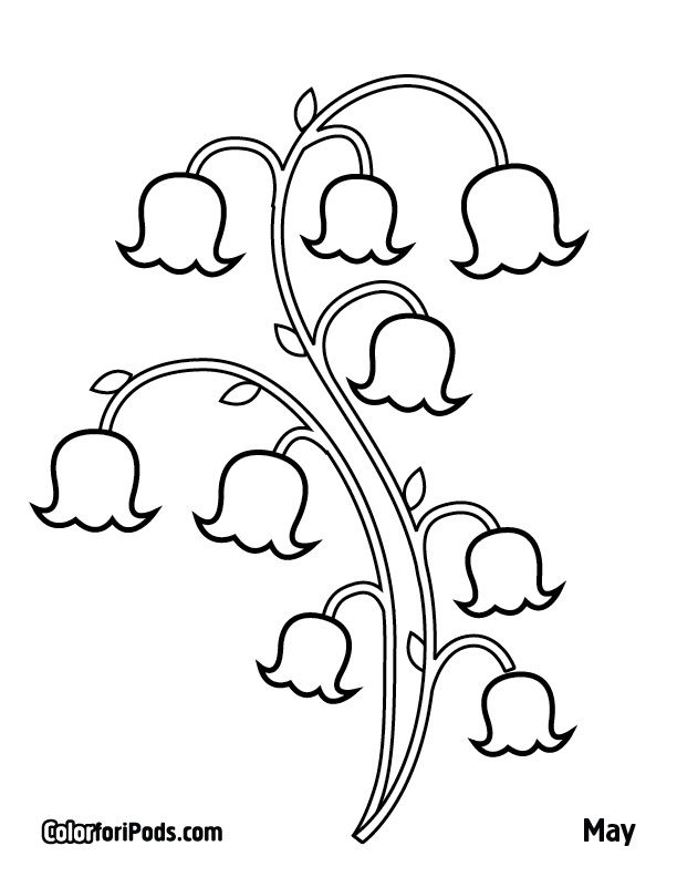 Lilyothevalley flower drawing lilies drawing painting patterns