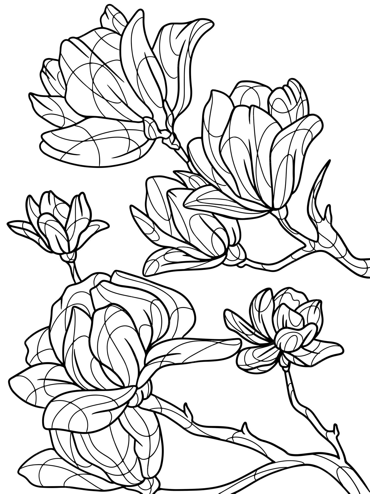 Premium vector coloring book flowers isolated magnolia black stroke white background
