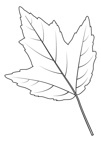 Red maple leaf coloring page free printable coloring pages