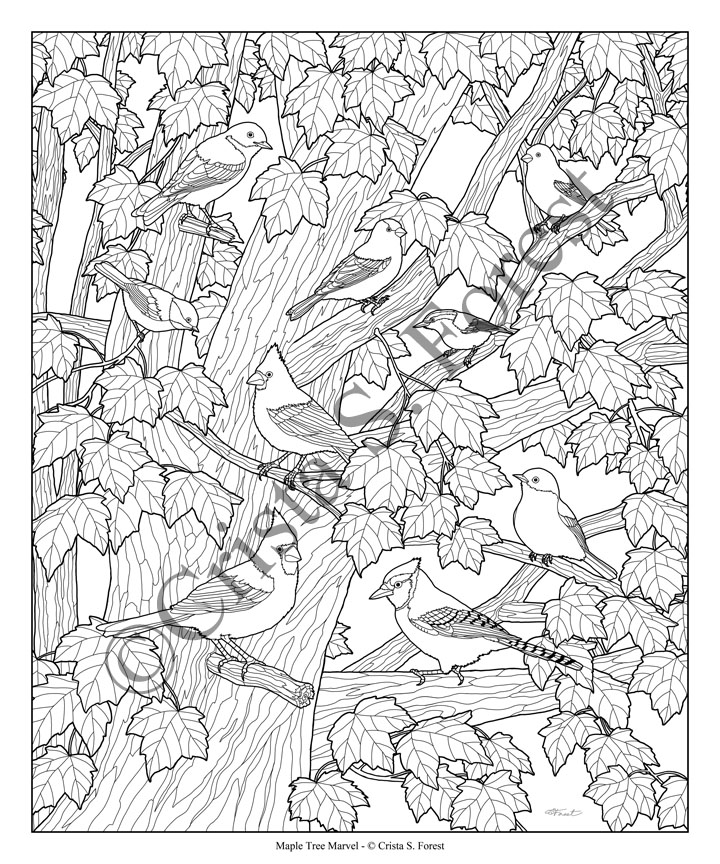 Crista forests animals art birds in maple tree coloring page digital download