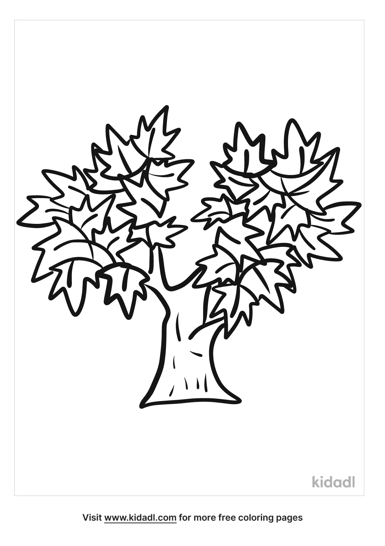 Free maple tree coloring page coloring page printables