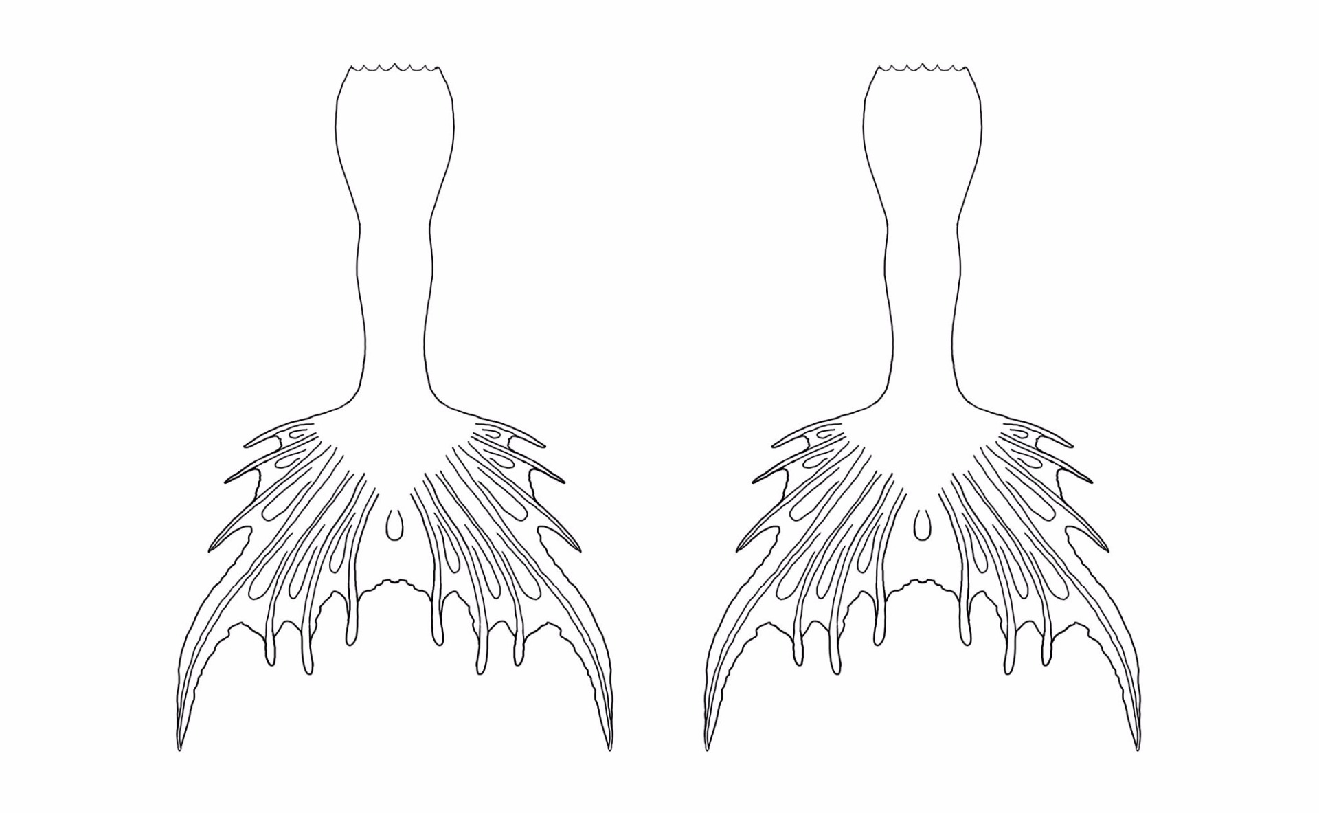 Mermaid tail coloring page