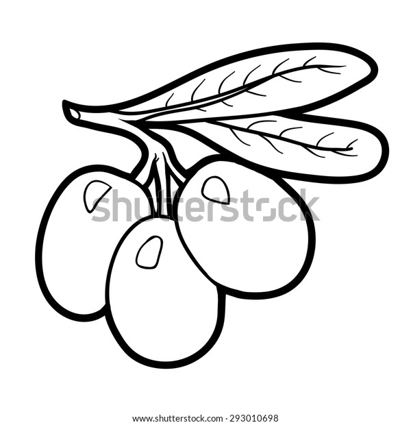Coloring book fruits vegetables olives stock vector royalty free