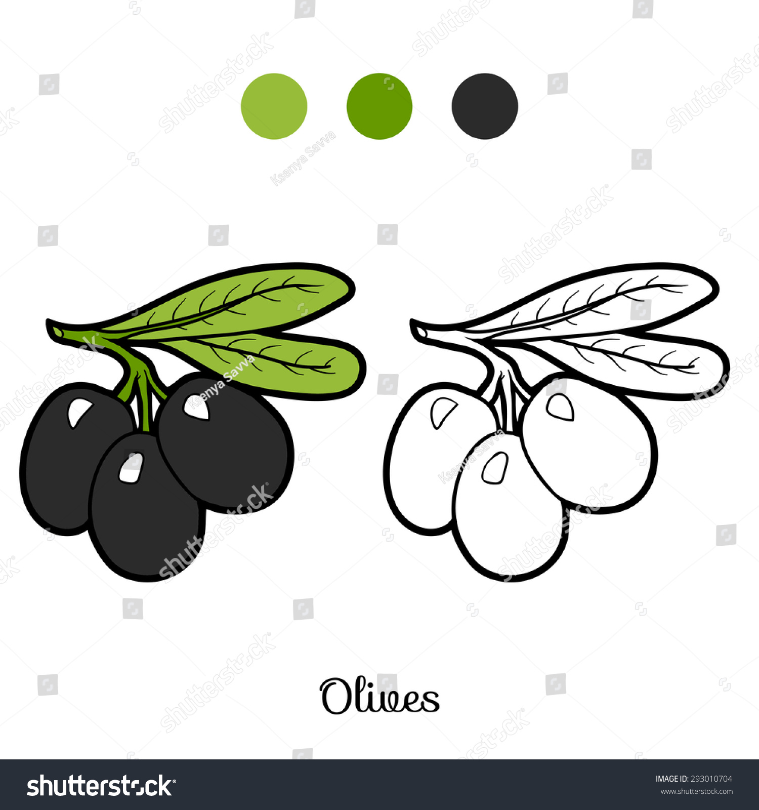 Coloring book fruits vegetables olives stock vector royalty free