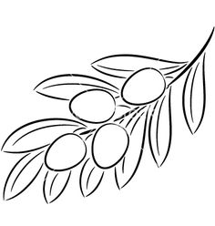 Maslina ideas olive tree olive olive branch