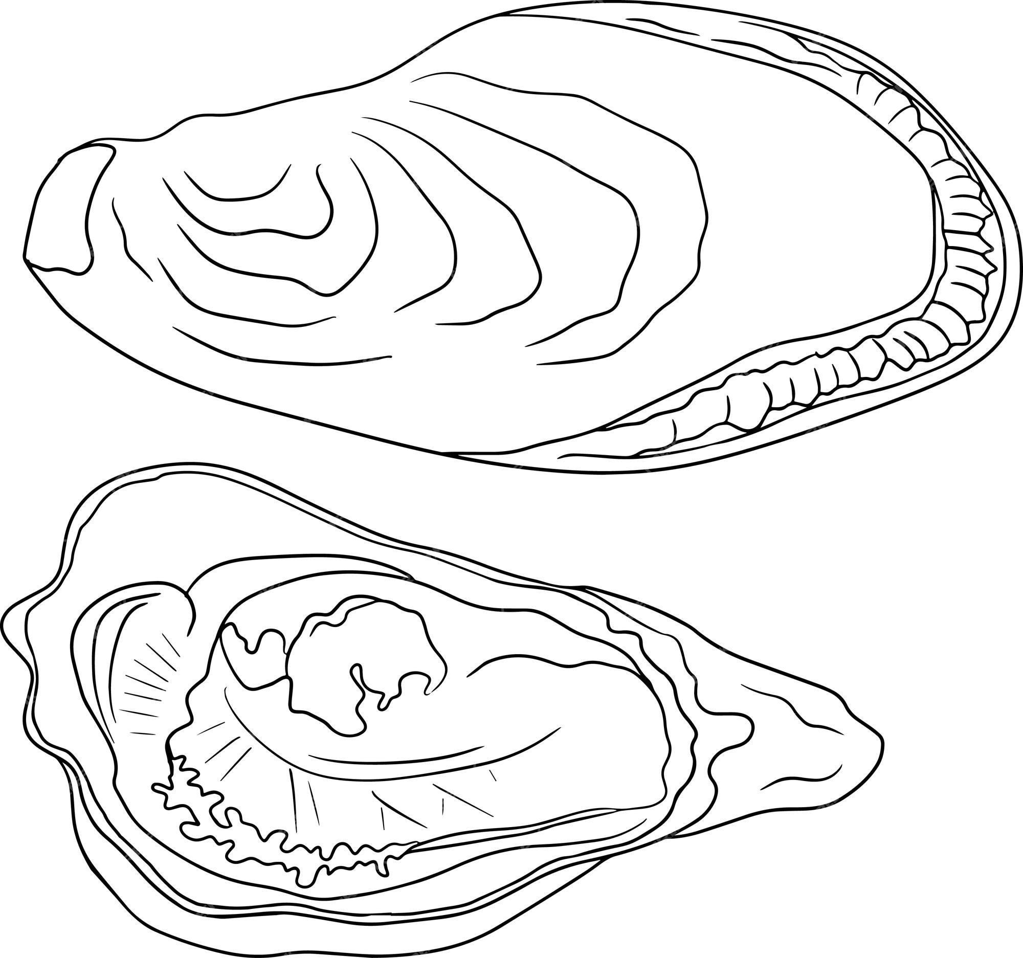 Premium vector oystershand drawn underwater creaturesvector sea life seafood coloring pages with marine animals