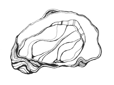 Oyster coloring page