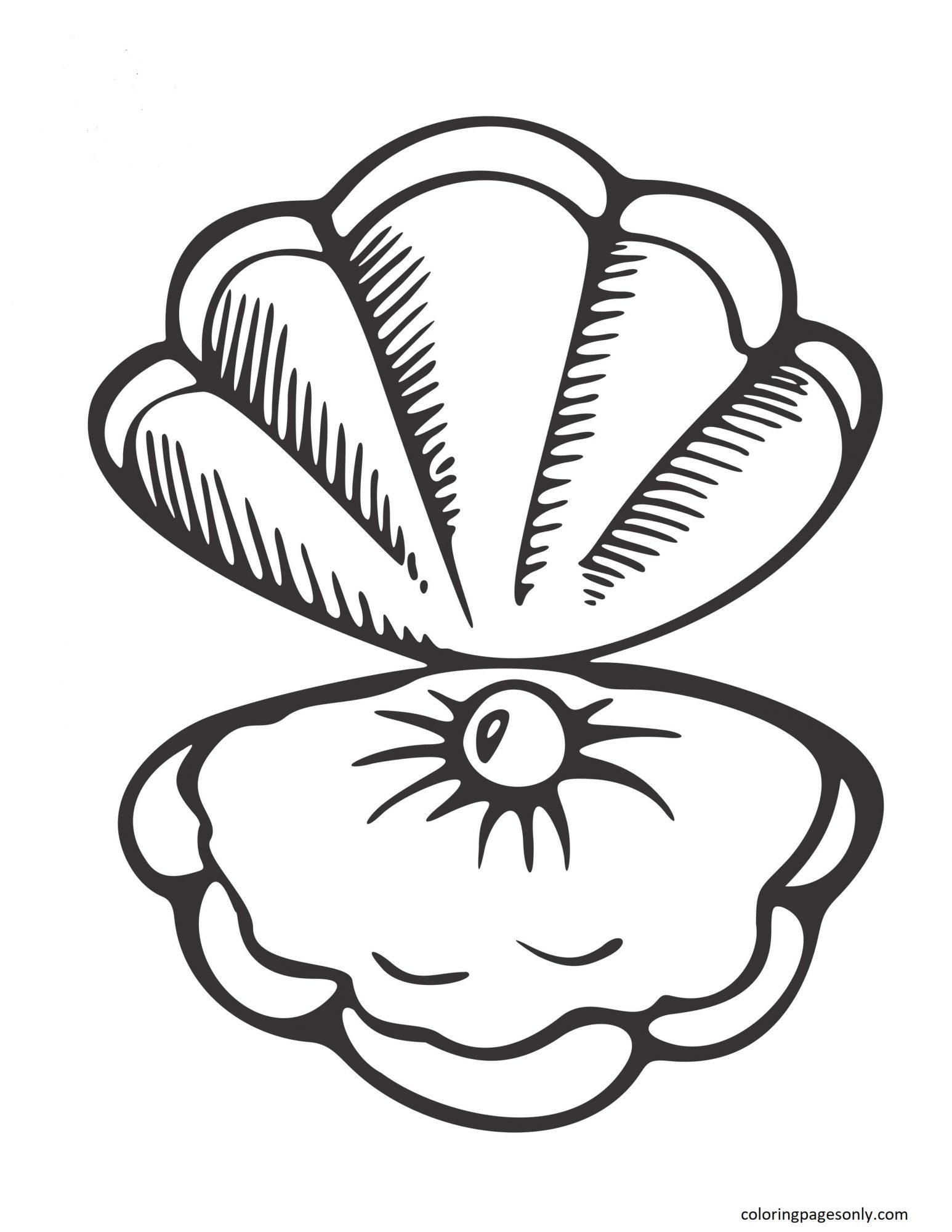Clam coloring pages printable for free download
