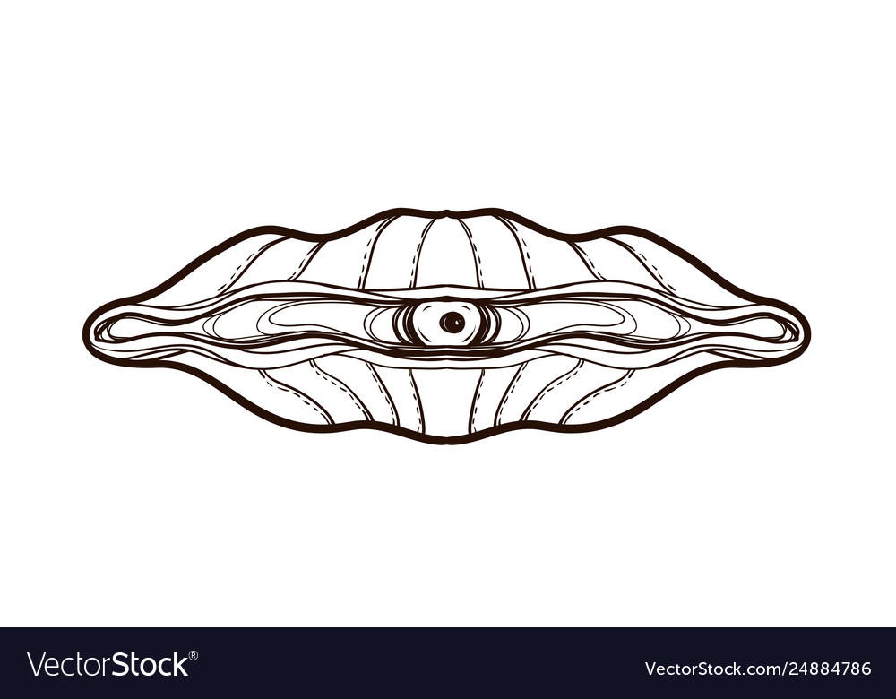 Open oyster with pearl coloring book for adults vector image