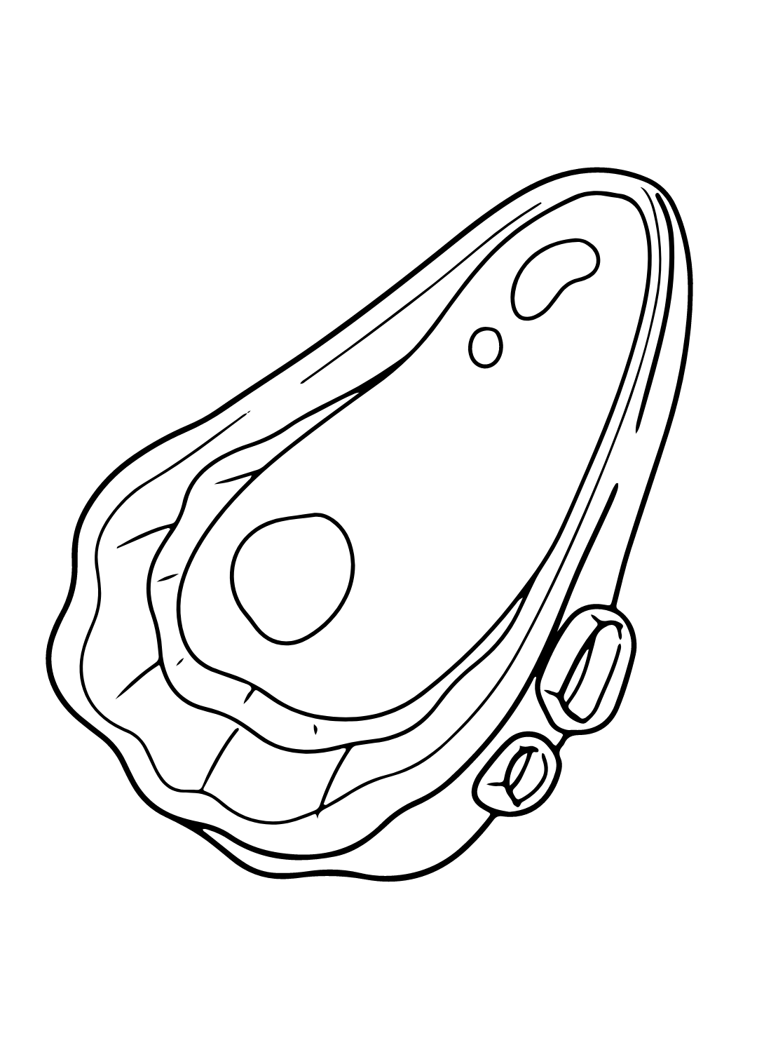 Oyster coloring pages printable for free download