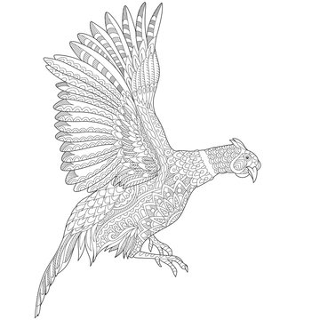 Zentangle stylized cartoon flying pheasant bird cock hen phoenix hand drawn sketch for adult antistress coloring book page t