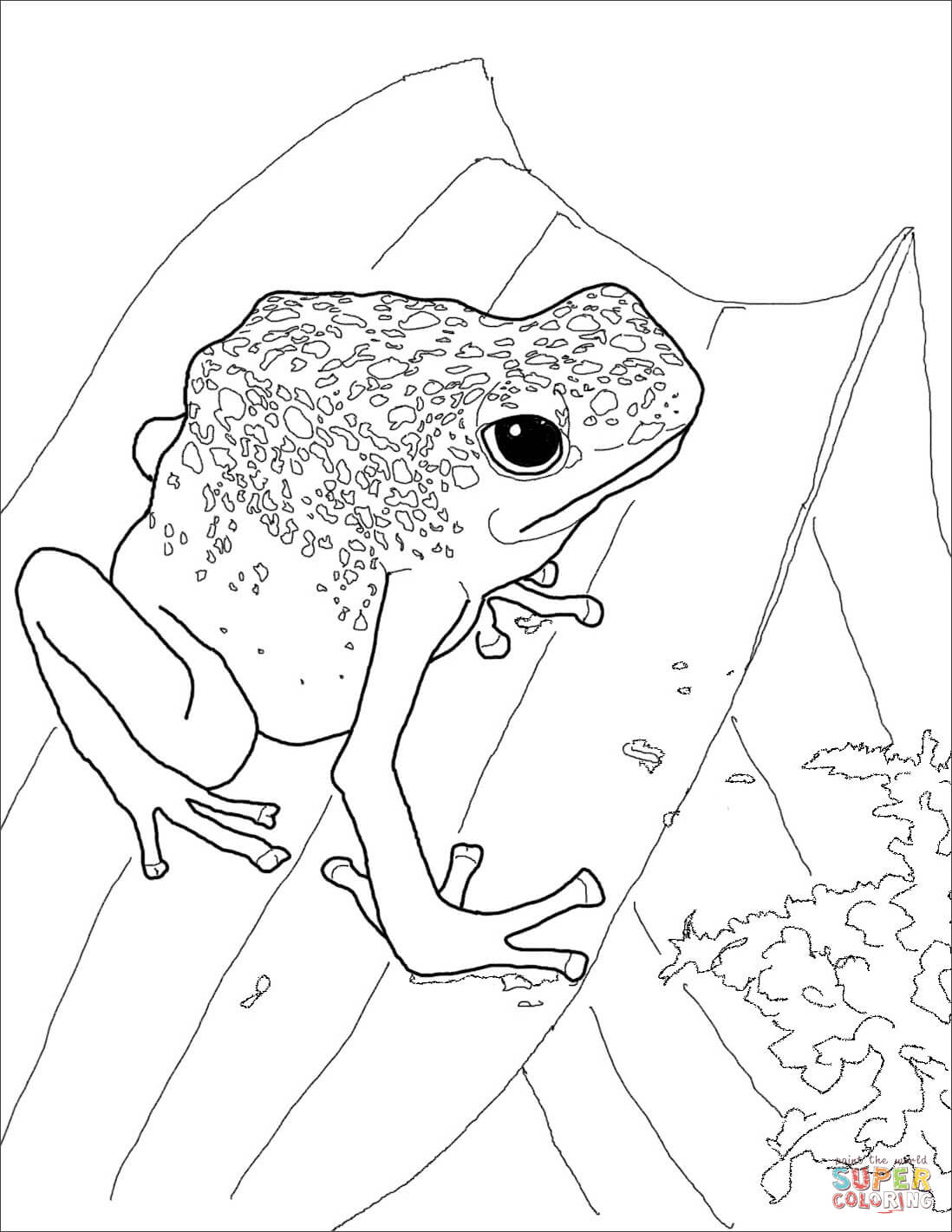 Blue poison dart frog coloring page free printable coloring pages
