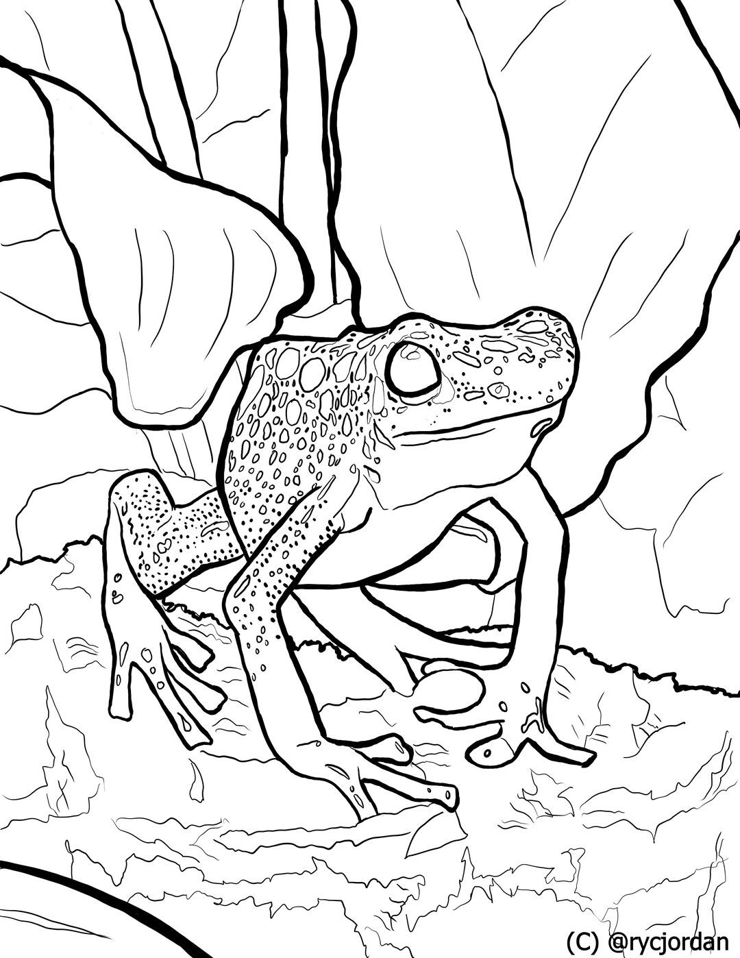 Poison dart frog coloring pages download now