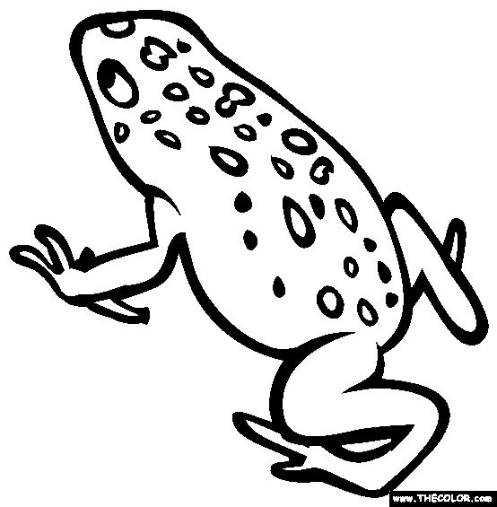 Golden poison frog coloring page free golden poison frog online coloring