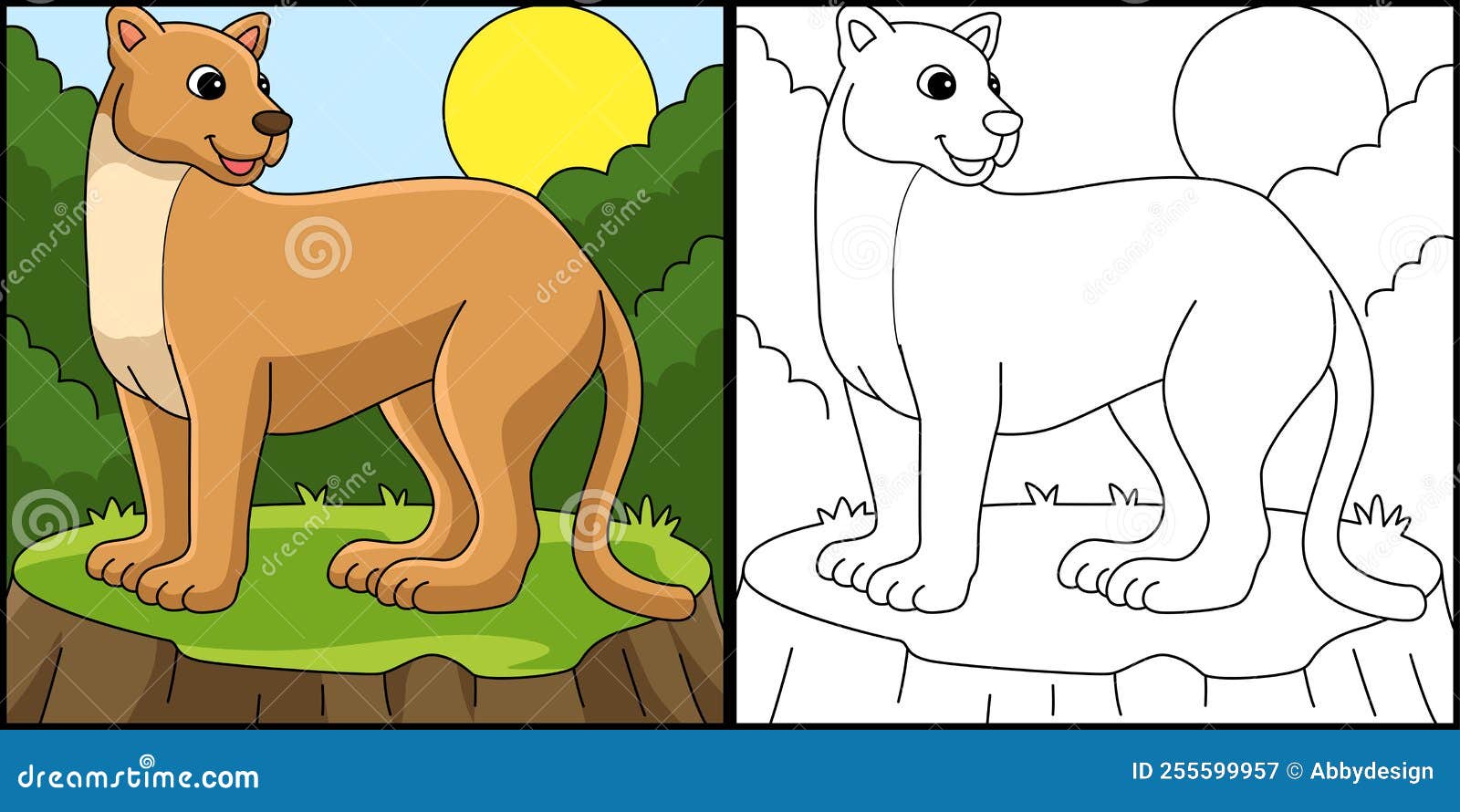 Puma animal coloring page colored illustration stock vector