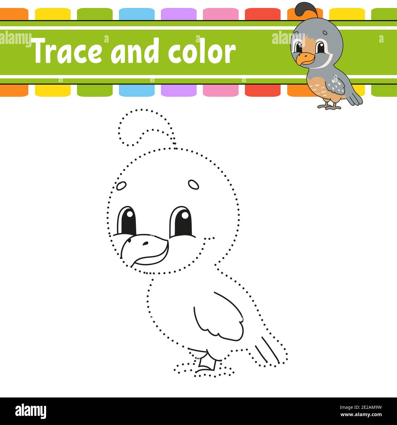Trace and color quail bird coloring page for kids handwriting practice education developing worksheet activity page game for toddlers isolated stock vector image art