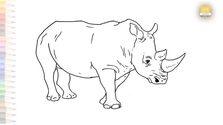 Rhinoceros drawing video wild animal drawings how to draw rhinoceros step by step animal drawings drawings animals wild