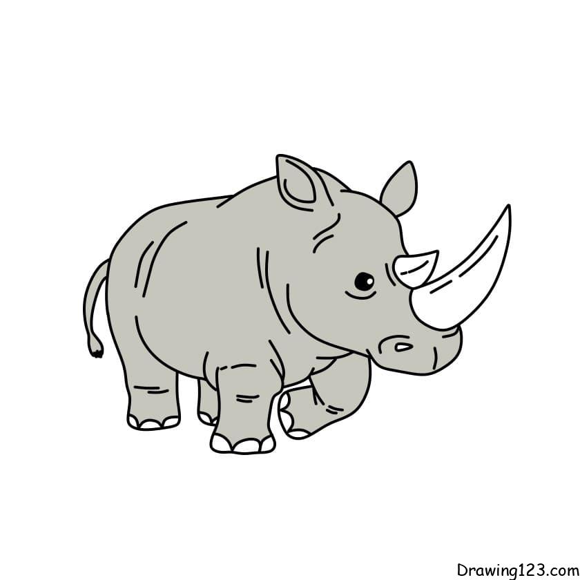 Rhinoceros drawing tutorial