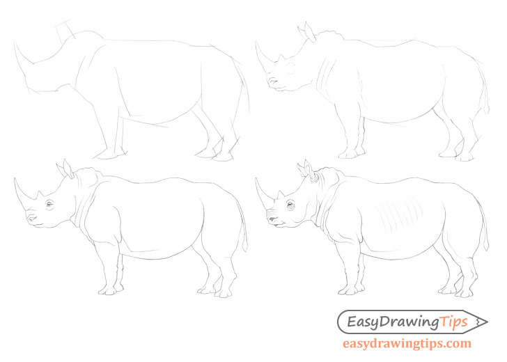 How to draw a rhinoceros step by step