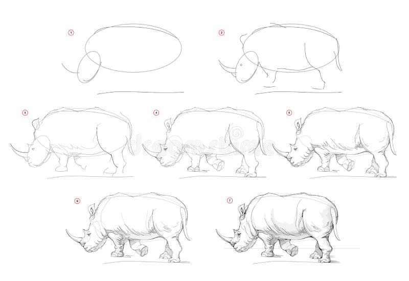 Page shows how to learn to draw sketch of rhinoceros creation step by step pencil drawing educational page for artists stock illustration