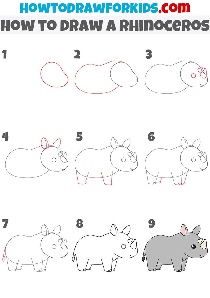 How to draw a rhinoceros