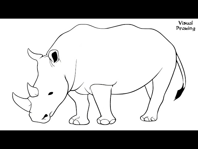 Rhino drawing easy how to draw a rhino for beginners step by step