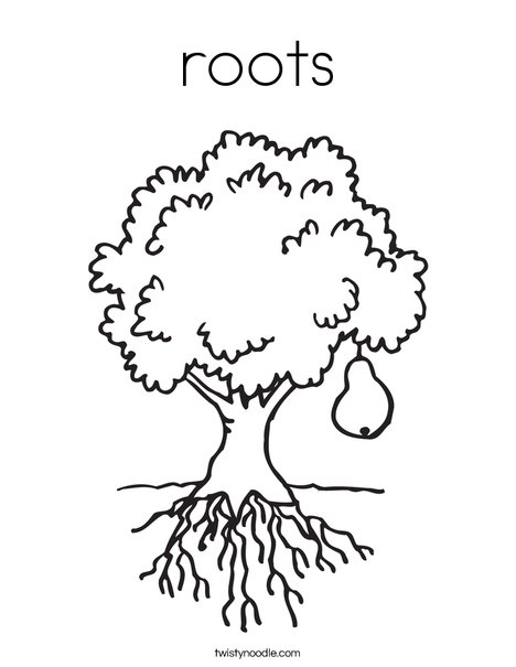 Roots coloring page