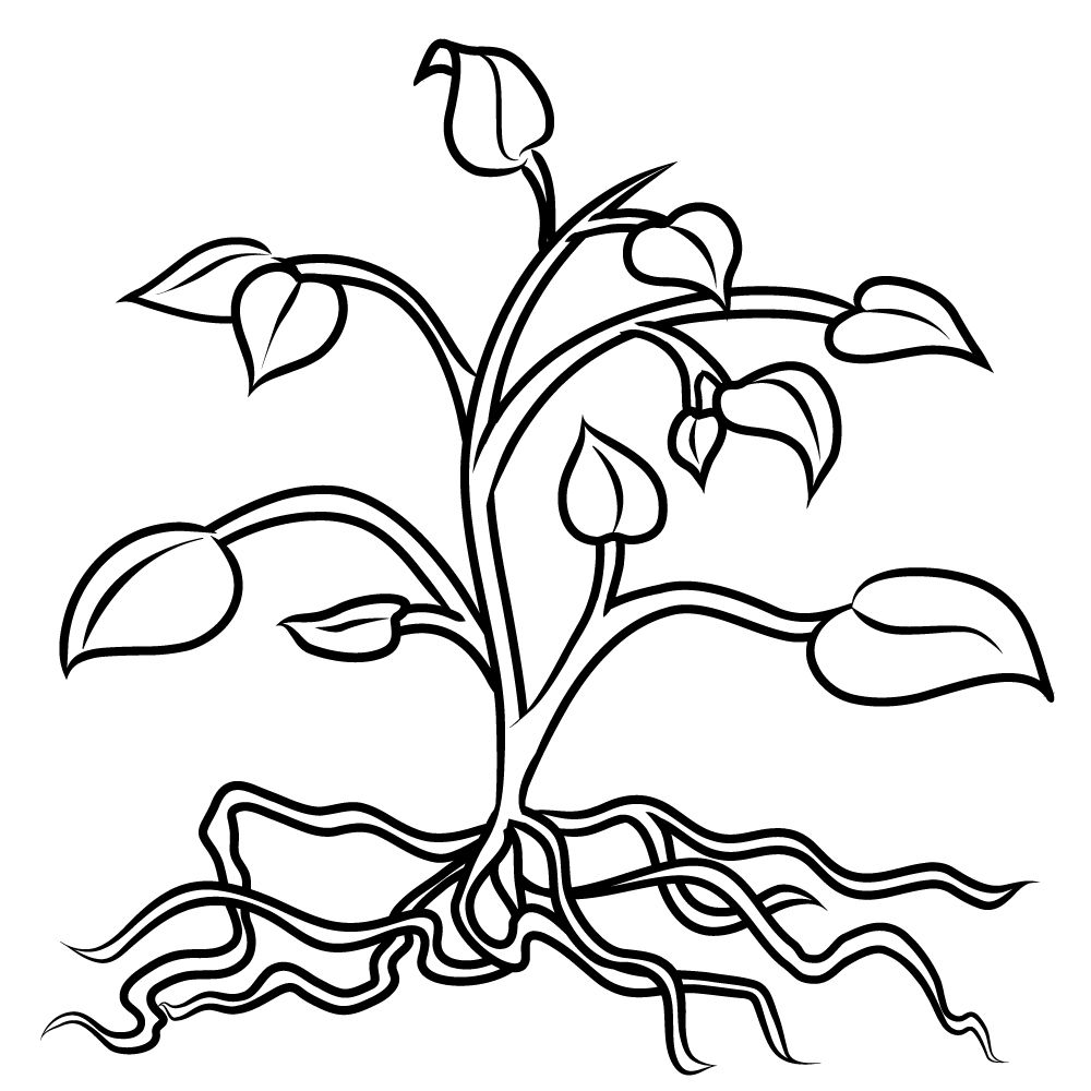 Plant with roots stencil