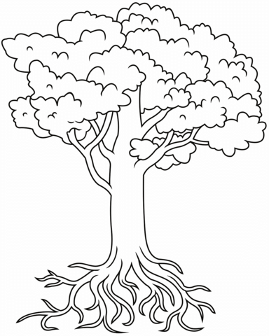 Tree with roots coloring page free printable coloring pages