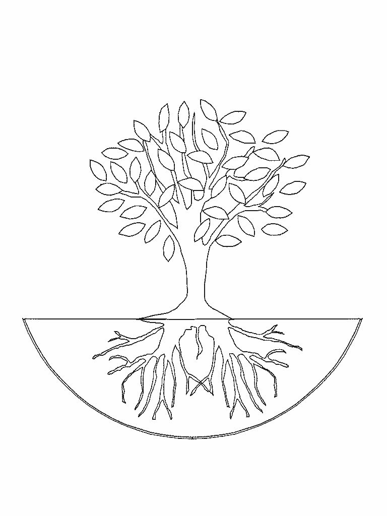 Treejpg ã coloring pages tree coloring page printable activities