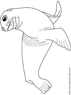 Sea lion lion coloring pages sea lion ocean tattoos
