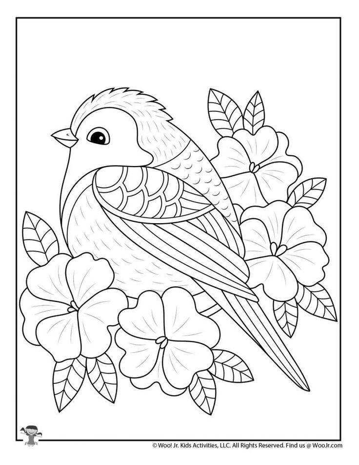 Spring bird and flowers coloring for teens woo jr kids activities childrens publishing coloring pages bird coloring pages animal coloring pages