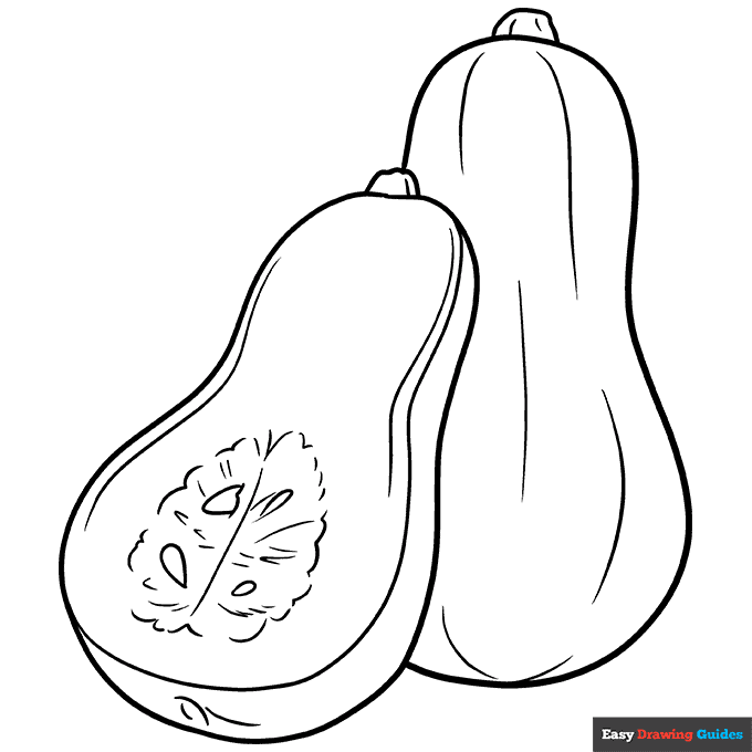 Squash coloring page easy drawing guides