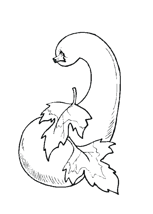 Free vegetables coloring pages coloring pages coloring books coloring book pages