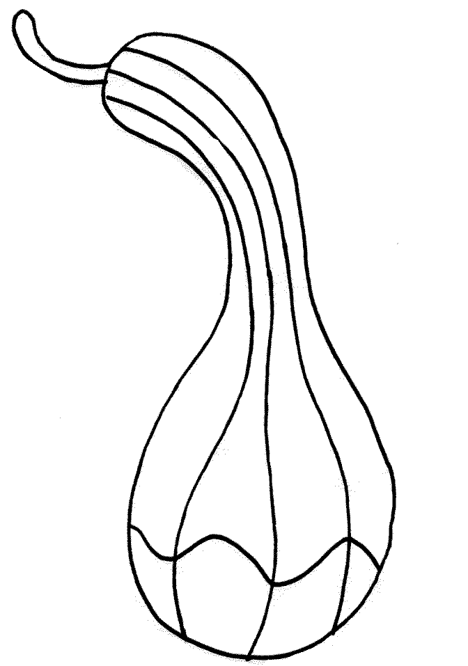 Squash coloring pages
