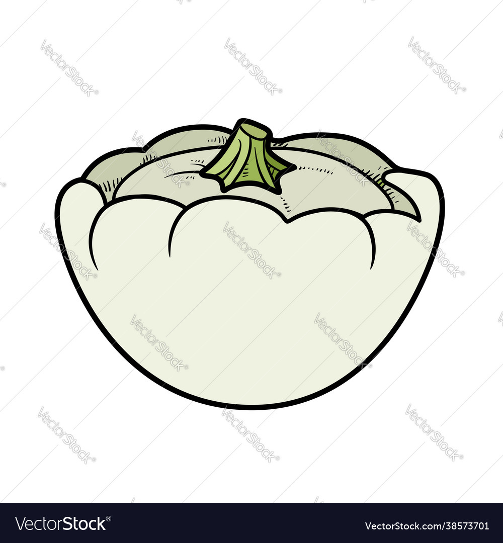 Squash color variation for coloring page isolated vector image