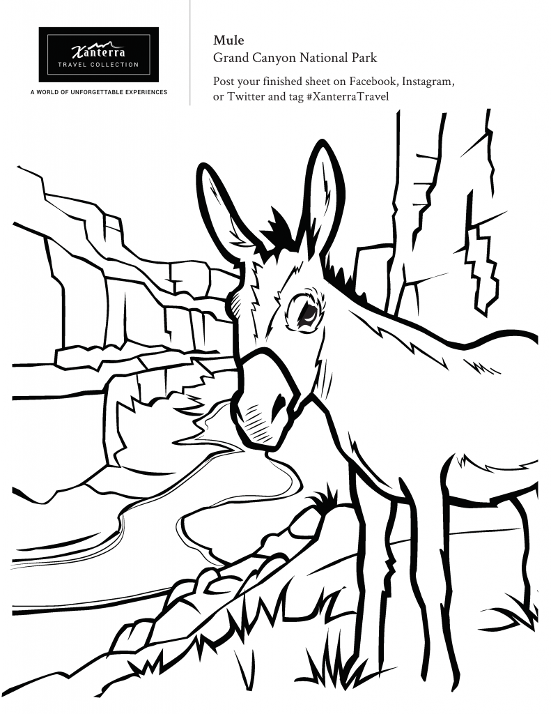 Free cards and coloring pages and some craft ideas â a life worthy