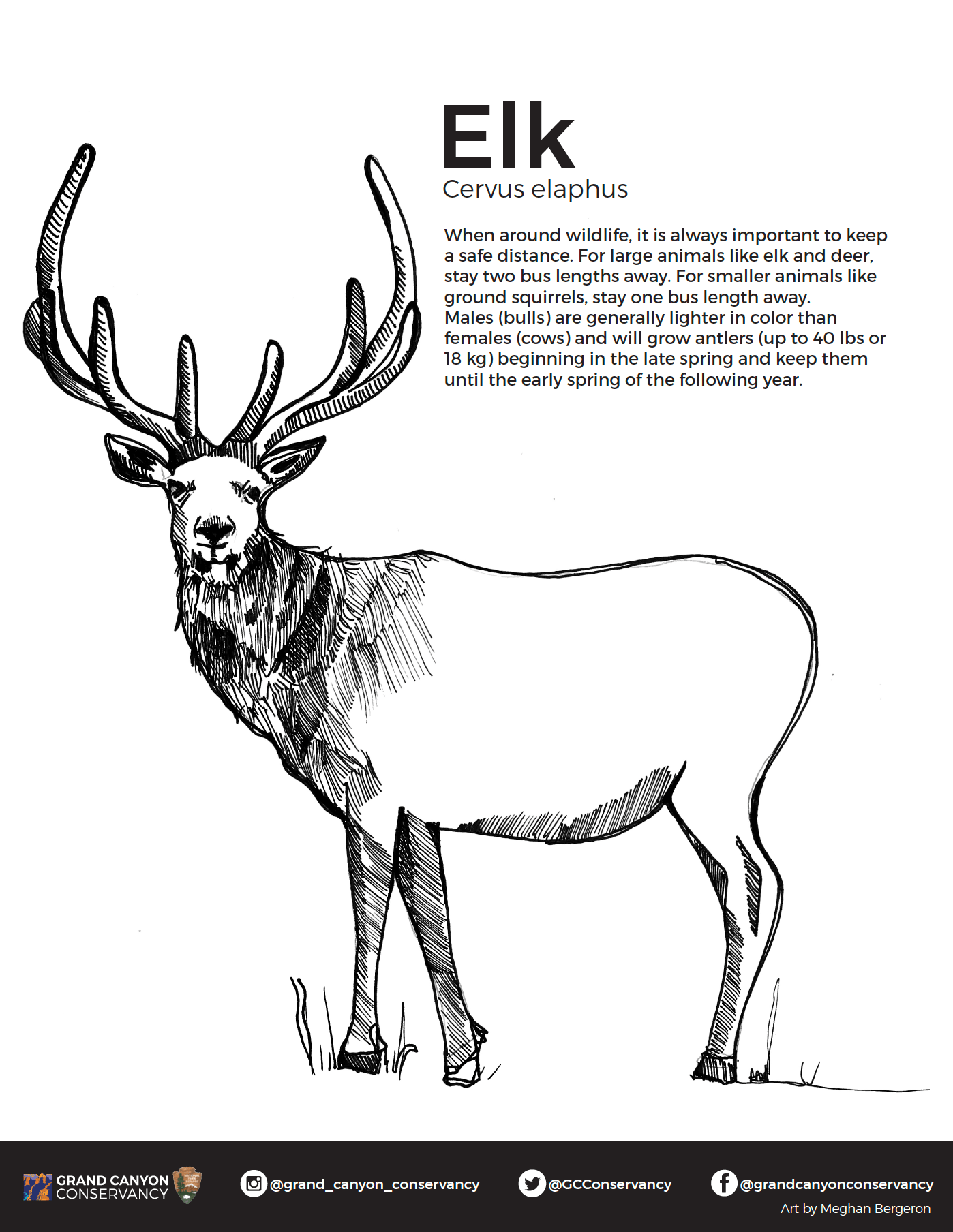 Download free grand canyon coloring pages