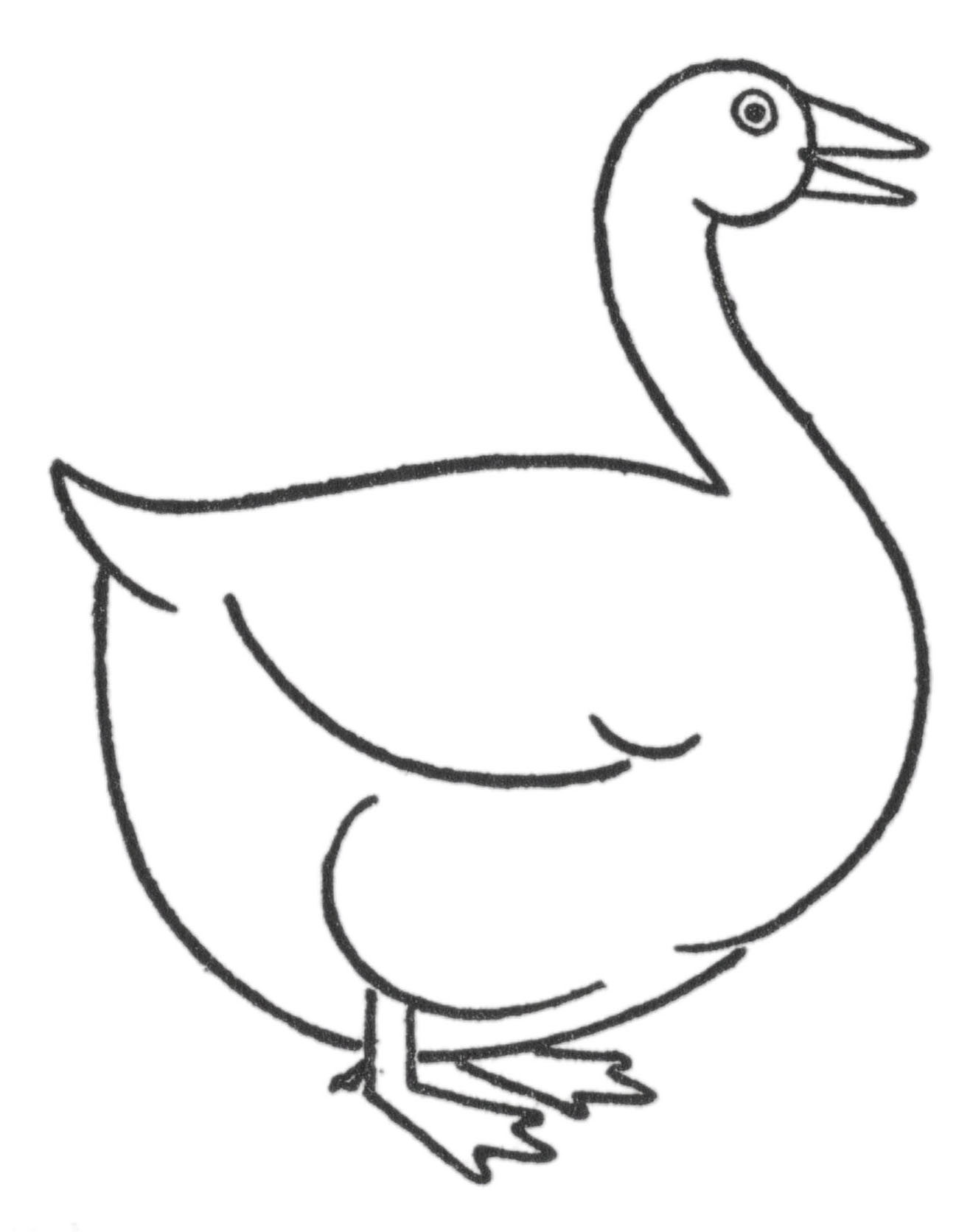 Drawing of a goose step by step