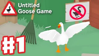 Untitled goose gae