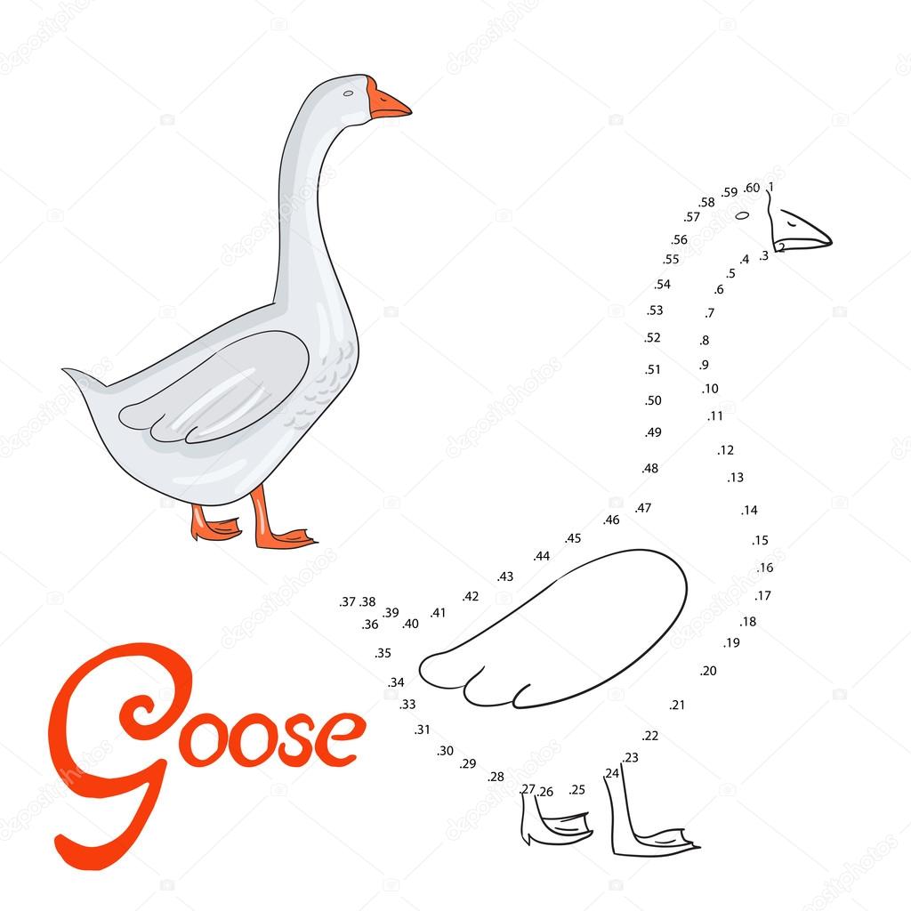 Educational game connect dots to draw goose bird stock vector by alexanderpokusay