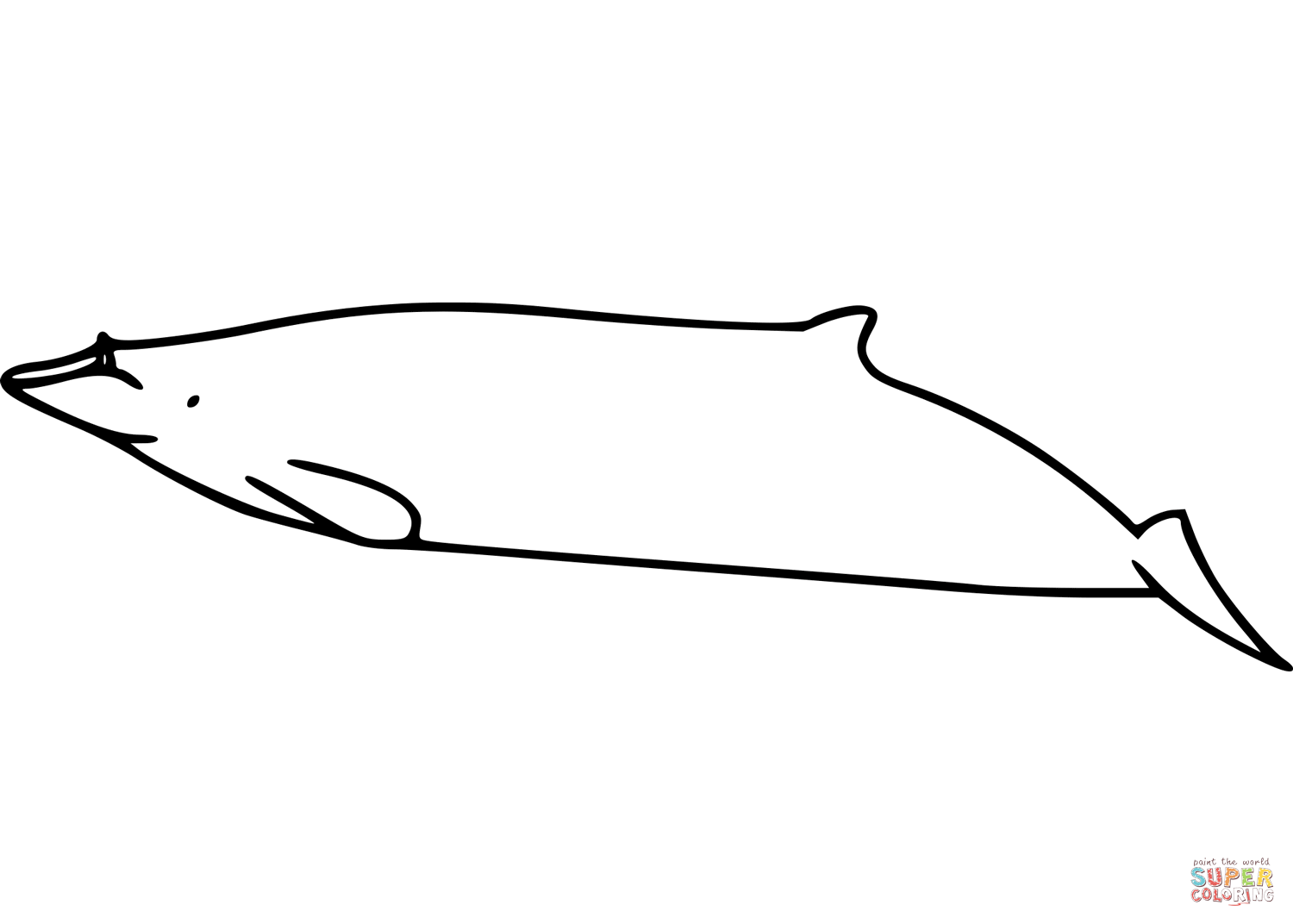 Hubbs beaked whale coloring page free printable coloring pages