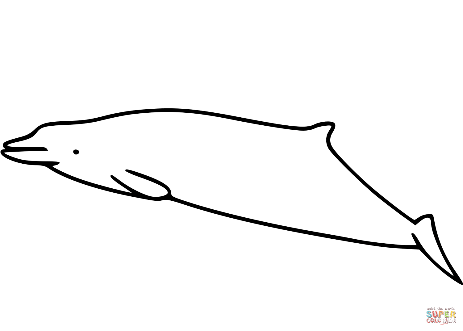 Trues beaked whale coloring page free printable coloring pages