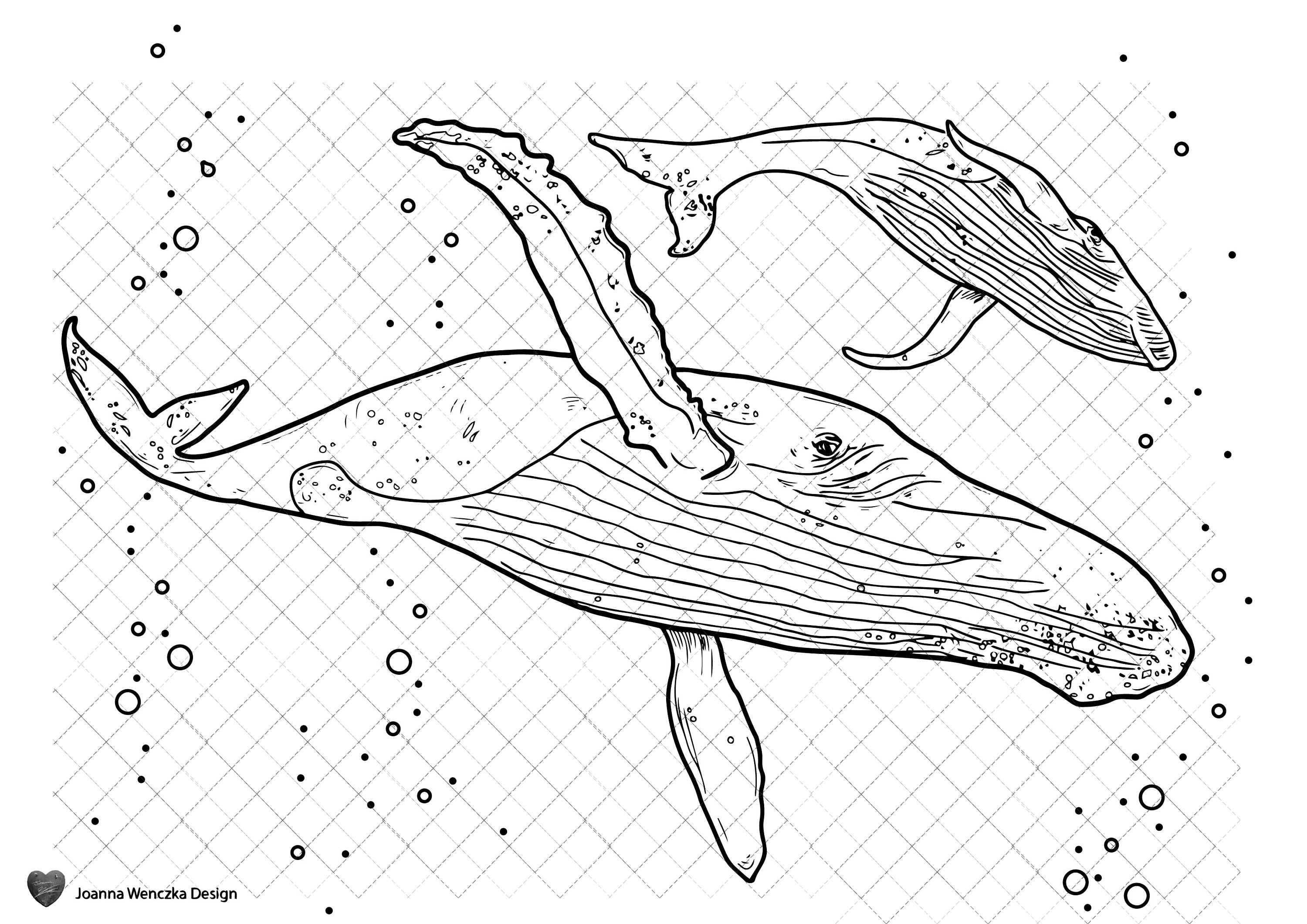 Humpback whales colouring page printable coloring page for adults children instant download whale coloring page whale coloring sheet print instant download