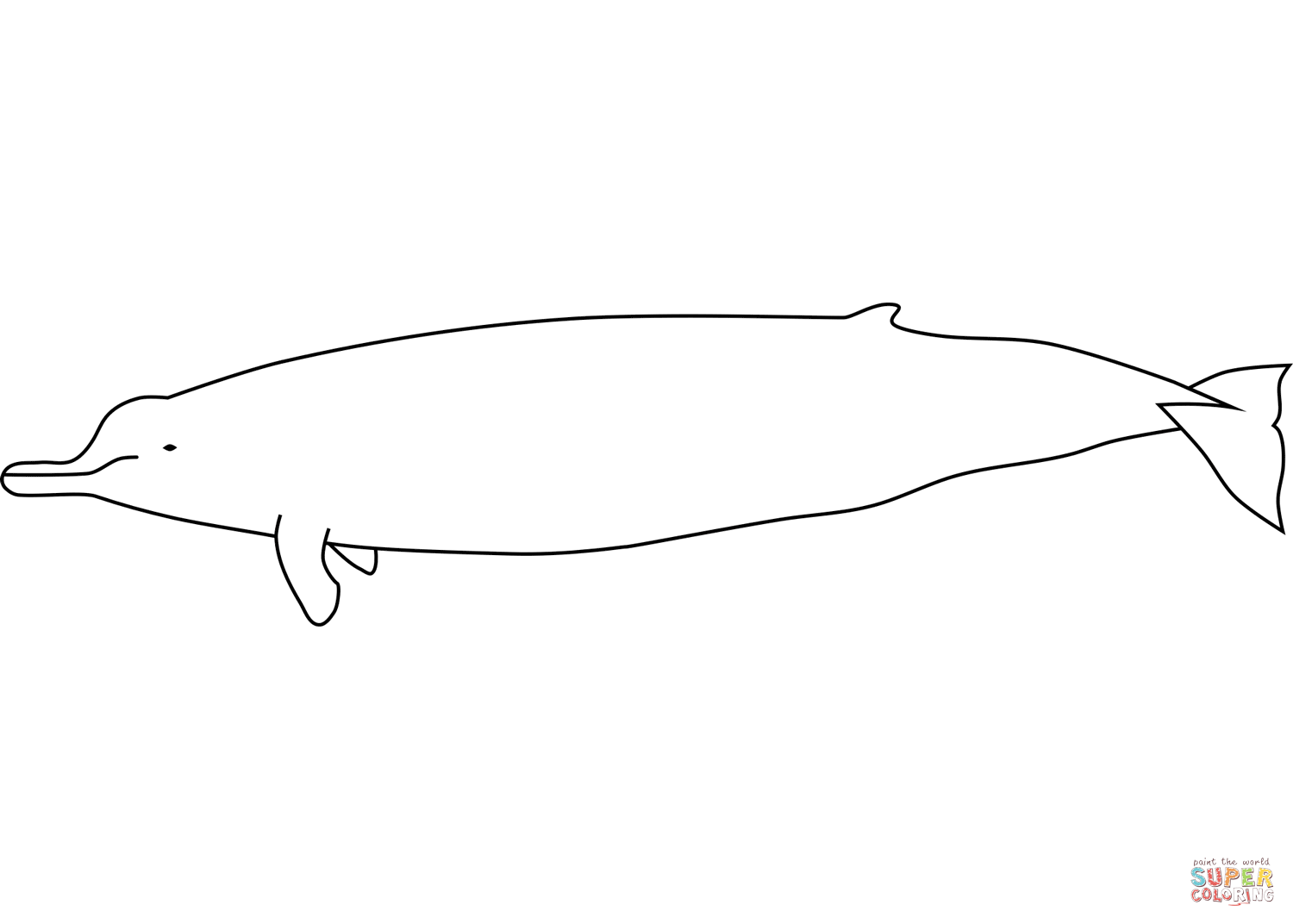 Arnouxs beaked whale coloring page free printable coloring pages