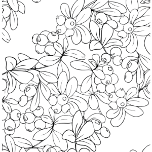 Huckleberry coloring pages printable for free download
