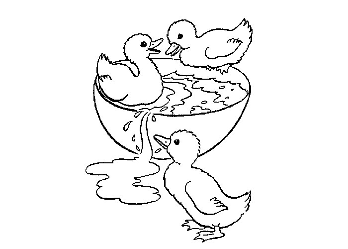 Baby ducks coloring pages to print